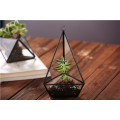 Clear Geometric Glass Terrarium Lantern Tabletop